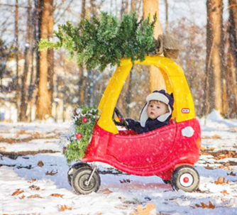 newborn baby in a little toy car picking up a christmas tree
